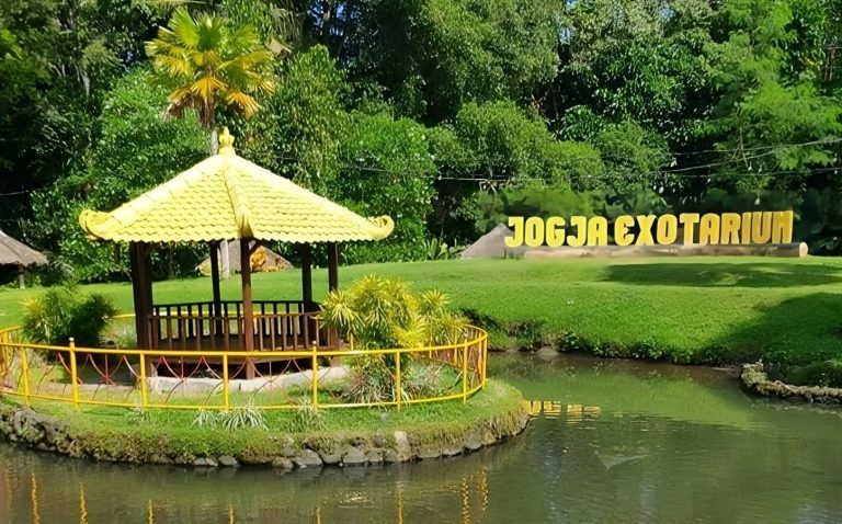 Khitan Seru di Jogja Exotarium Bersama Khitan Space